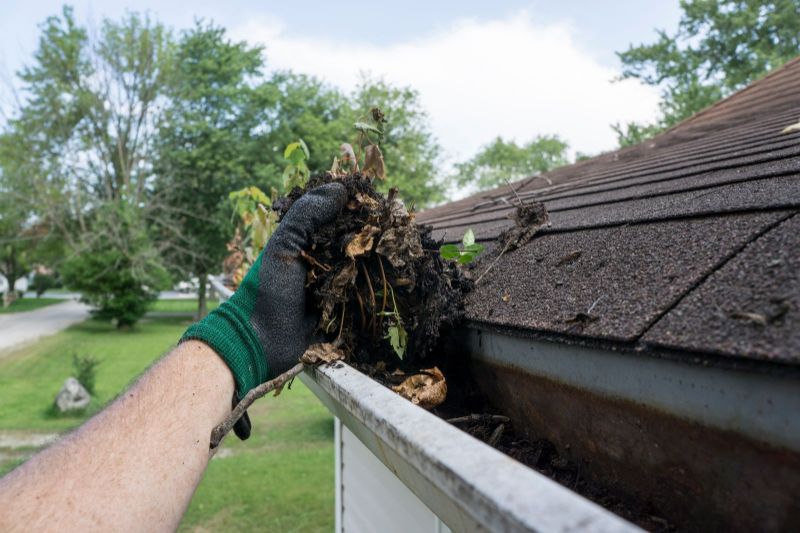 Gutter Vacuums: Pros and Cons