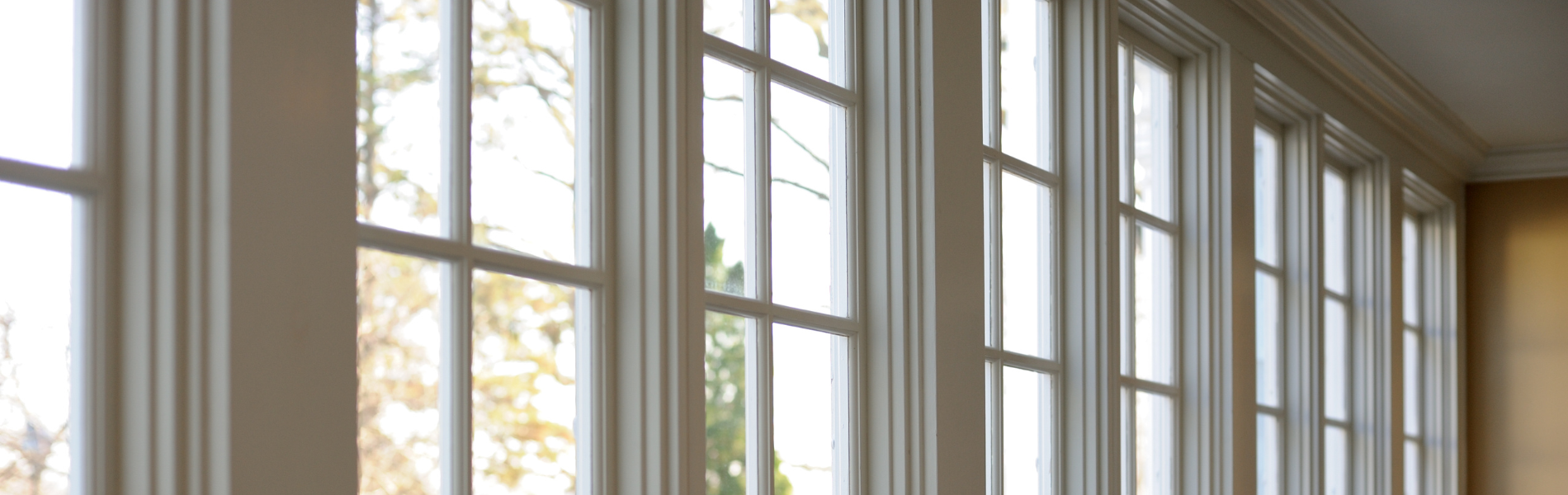 Thinking about new windows?